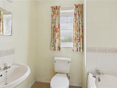 Picture 15